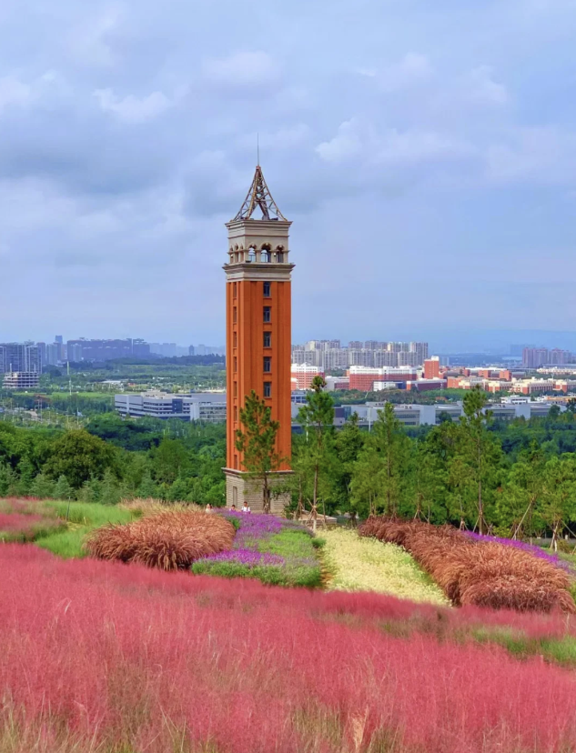 جامعة يوننان