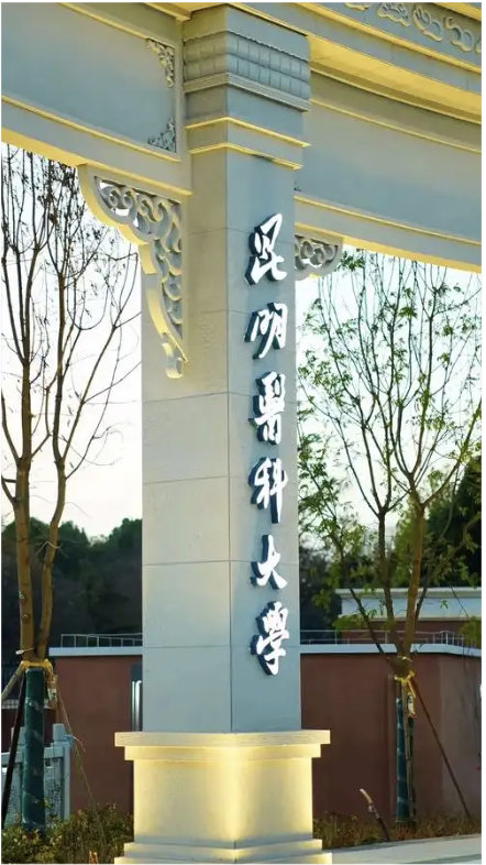 جامعة كونمينغ الطبية