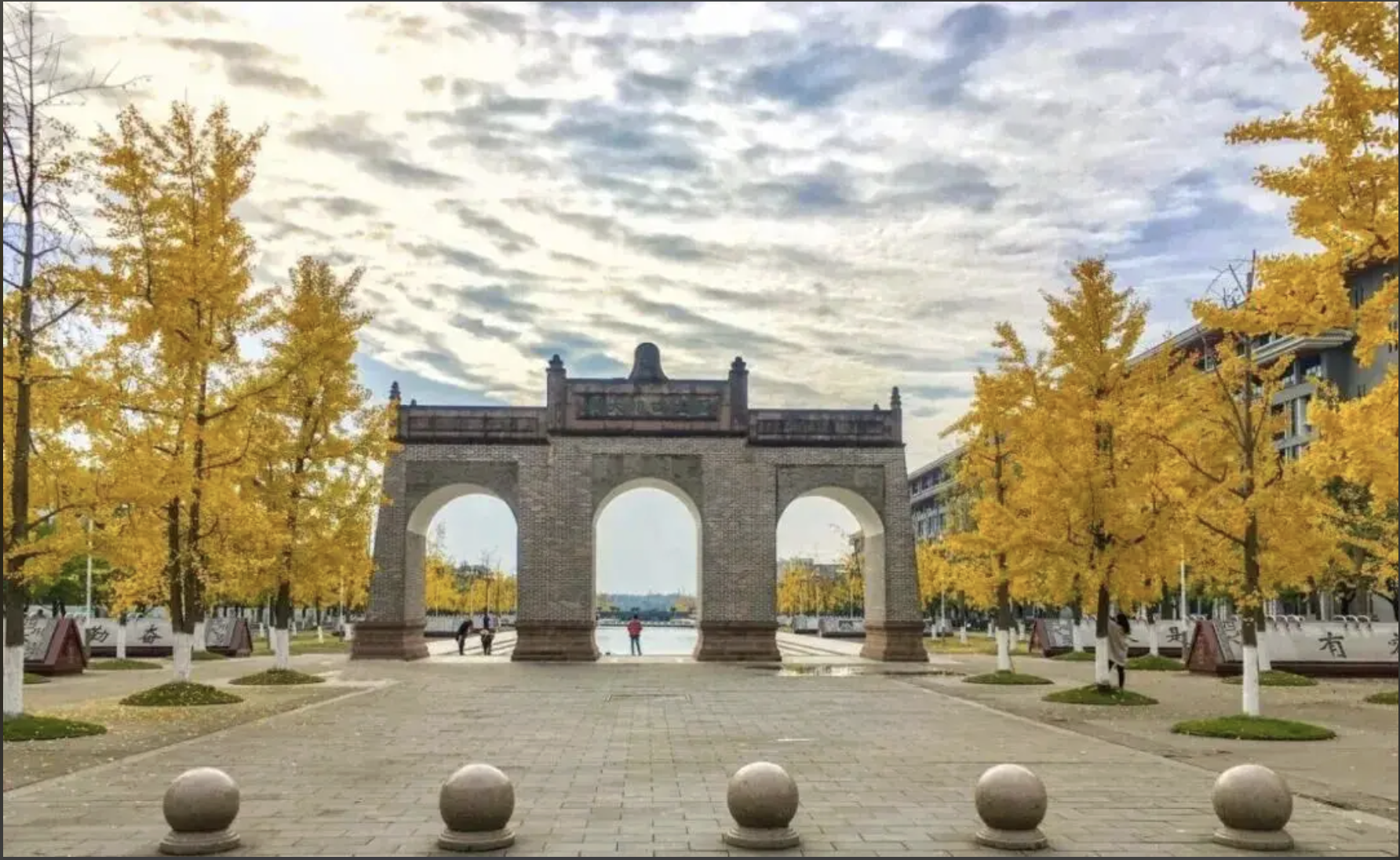 صورة المعرض