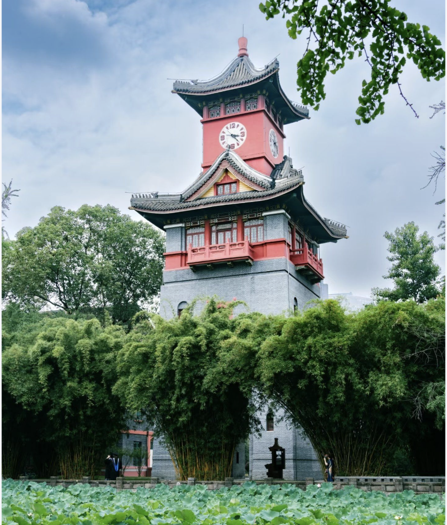 صورة المعرض