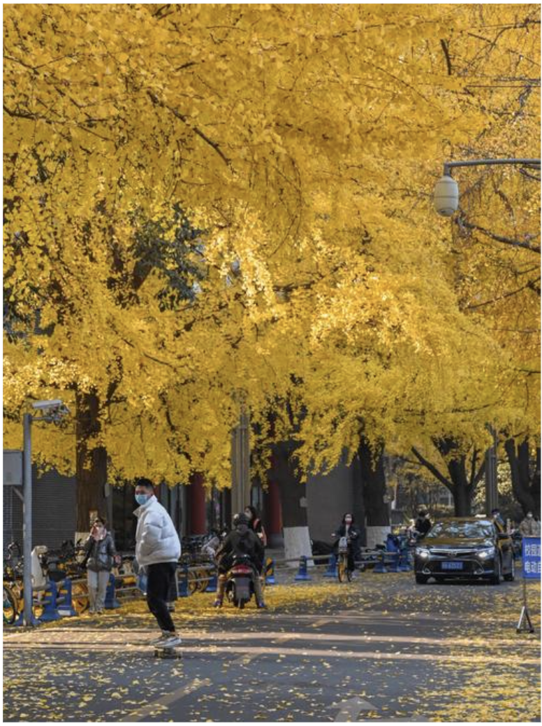 صورة المعرض