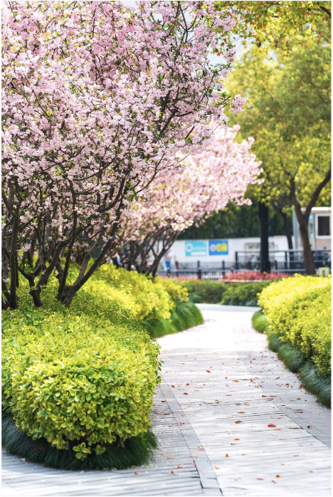 صورة المعرض