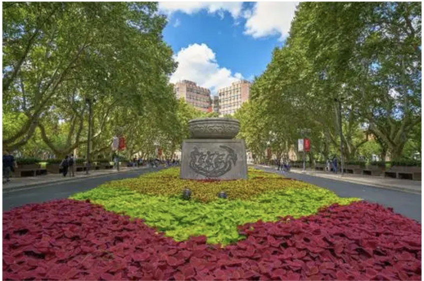 صورة المعرض