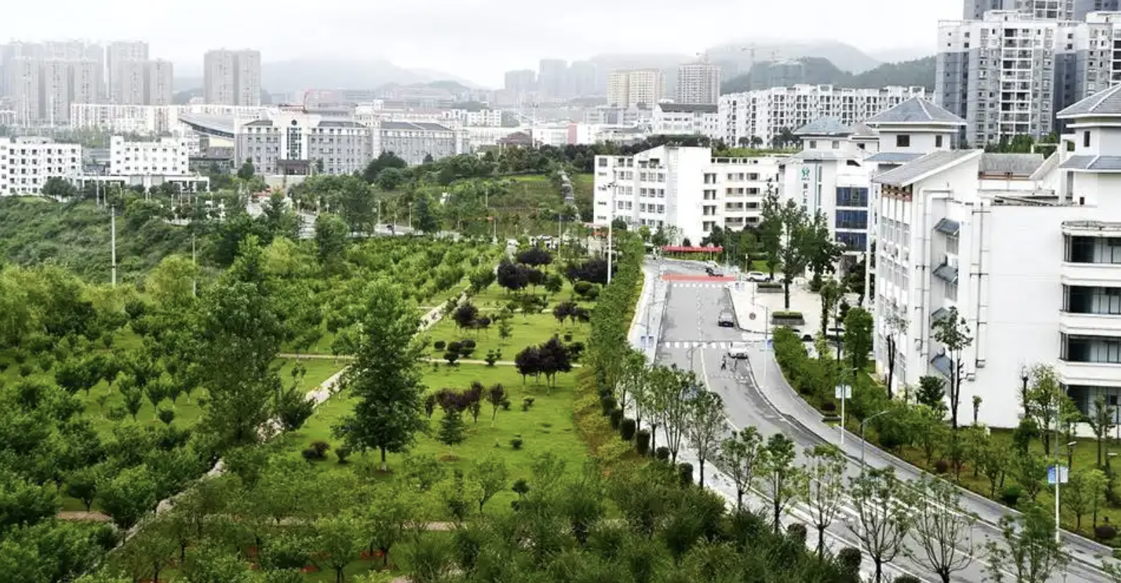 صورة المعرض