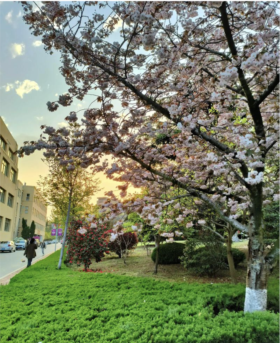 صورة المعرض